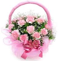 10 carnations in a basket THIS PRODUCT AVAILABLE IN MAJOR CITIES ONLY
