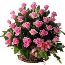 44 Pink roses in a basket